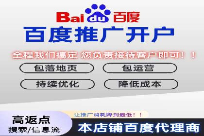 百度竞价推广运营实战技巧与经典案例剖析